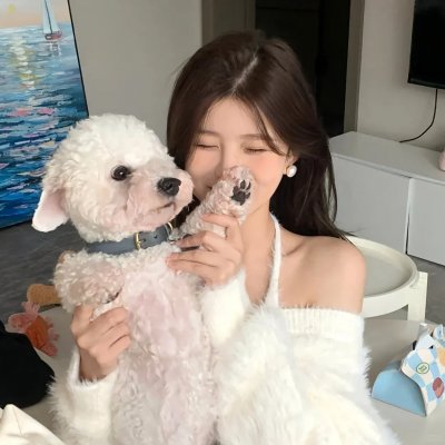 飞行者